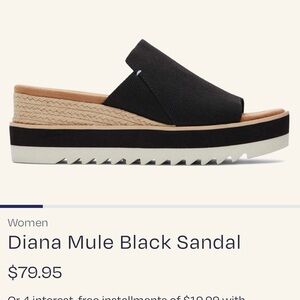 Brand new Toms , black Mule style.